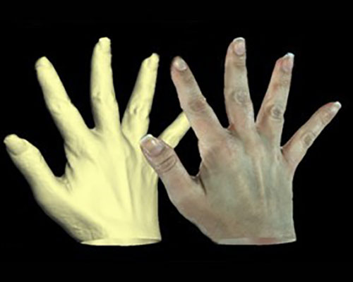 3dMDhand/foot System